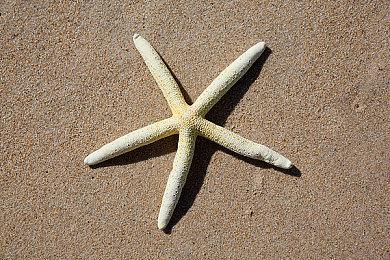 一次看够《星空》最新预告及45分钟试玩演示